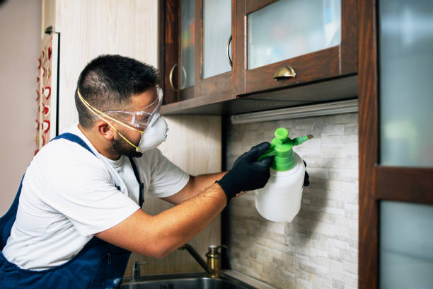 Best Pest Prevention Services  in South Deerfield, MA