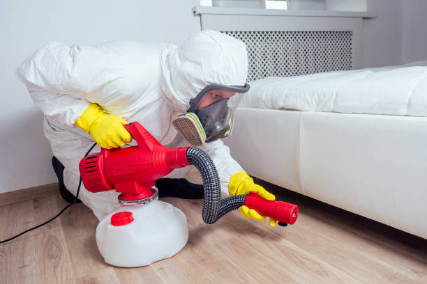 Best Pest Control Near Me  in South Deerfield, MA
