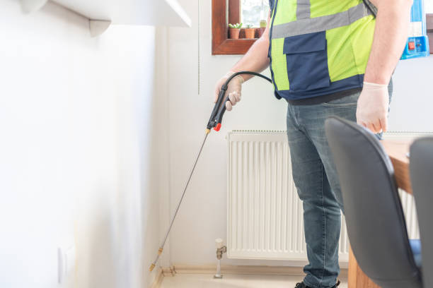 Best Pest Control Near Me  in South Deerfield, MA