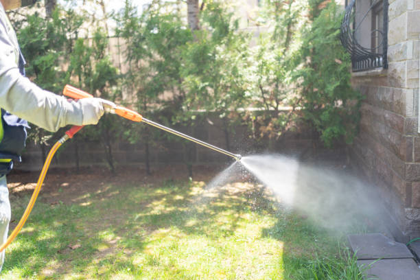 Reliable South Deerfield, MA Pest Control Solutions