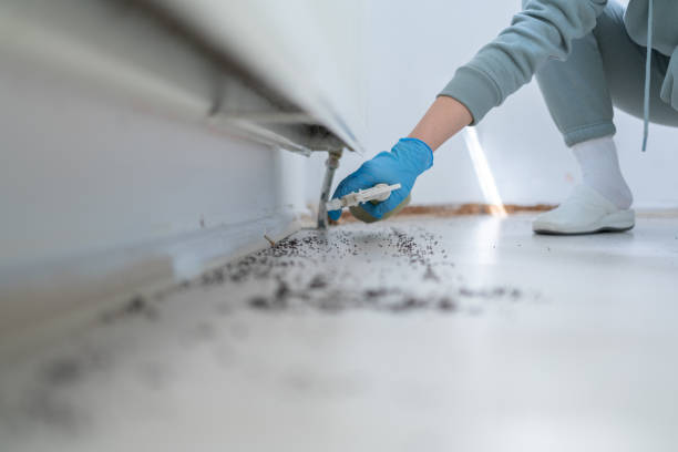 South Deerfield, MA Pest Control Company